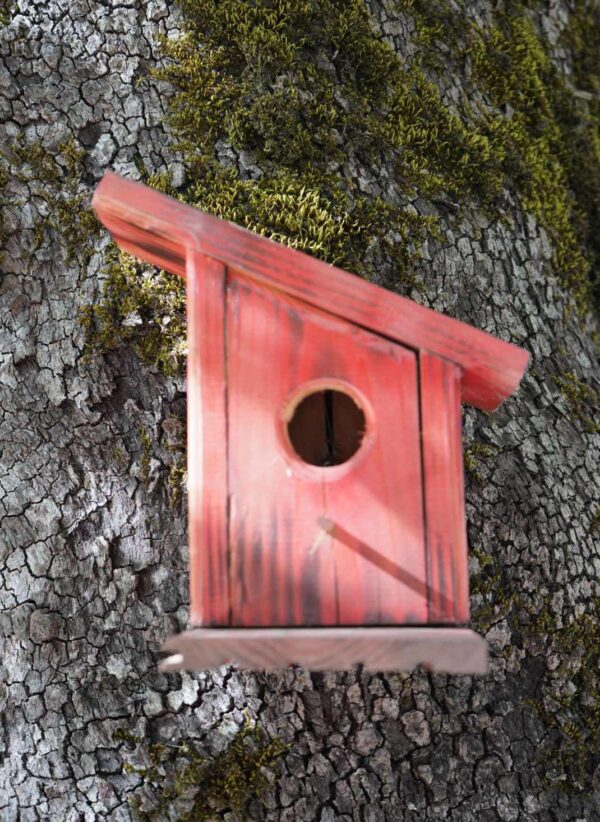 Κόκκινη Ξύλινη Φωλιά Πουλιών Εξωτερικού Χώρου