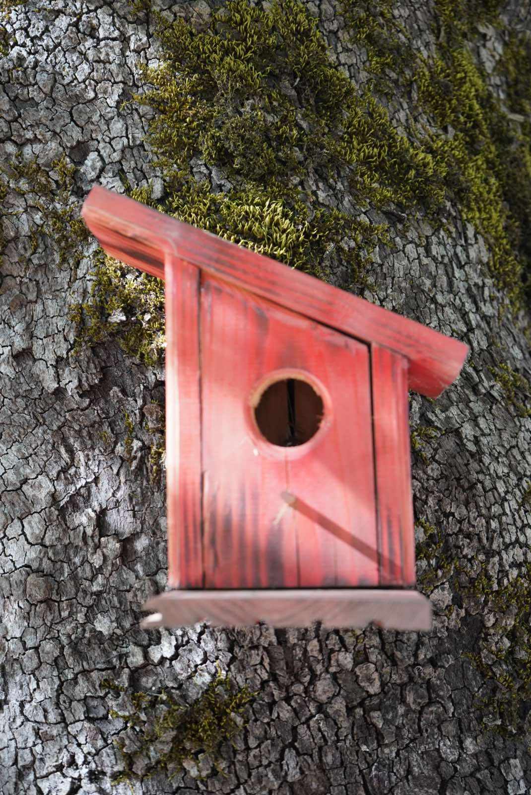 Κόκκινη Ξύλινη Φωλιά Πουλιών Εξωτερικού Χώρου