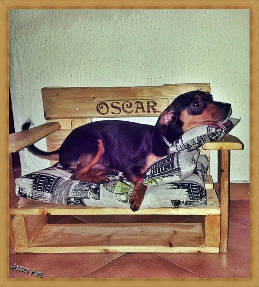 Ξύλινος Καναπές Σκύλου “OSCAR”