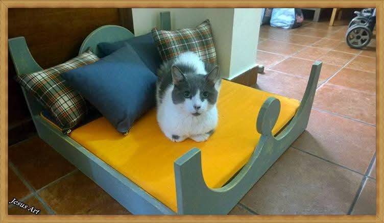 Ξύλινο Κρεβάτι Γάτας με Μαξιλάρια